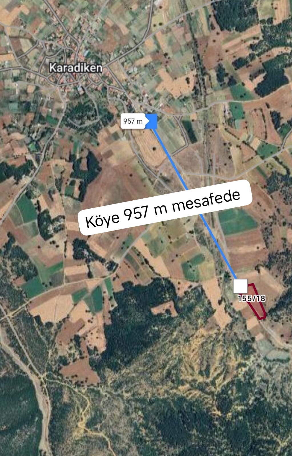 Fotoğraf